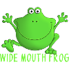 Laughing frog