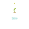 Conservationist Gift