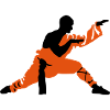 Kung fu