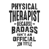 Physical Therapist