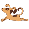 Yoga dog