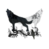 Stunning black and white wolf