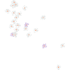fleur