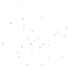 Fleurs fleurs fleurs