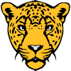cheetah wild animal 18