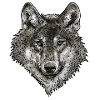 Loup