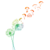 Dandelion paraglider