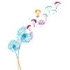 Paradan Gleitschirm
