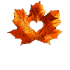 Maple maple leaf heart