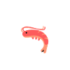 shrimp t-shirt shrimp