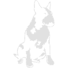 Bull Terrier 2013 1c_4dark