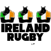 Ireland rugby rhinos