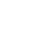 Maple maple leaf