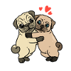 Möpse | Mops