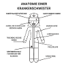 Anatomie d’une infirmière hôpital soins