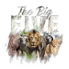 Big 5