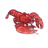 Lobster seafood