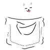 Pocket Samojede