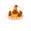 poule