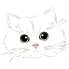cat eyes with fluffy face