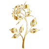 A ROMANTIC GOLDEN ROSE