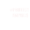 PROTECT ANIMALS 3
