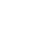 Idiots everywhere idiots! T-shirt / hoodie gift