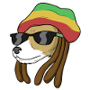 Reggae Dog