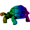 Bunte Party Schildkröte