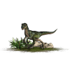 Velociraptor carnivorous dinosaur Dino