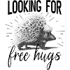 porcupine