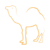Kamel Camel Dromedar