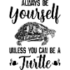 tortue
