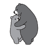 Bears cuddle gray