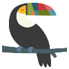 motley tucan