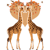 Amour girafe