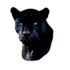 Blue Panther