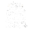 Autism