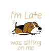 beagle