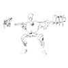 squats