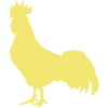 Golden cockerel rooster