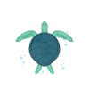 Sea turtle turtle