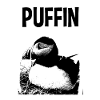 Puffin Puffin Puffin