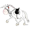 Dressage - Équitation -Cheval - Chevaux