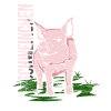 piggy