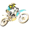 Motocross