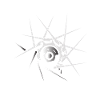 Bike Spokes