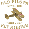 Pilot Flugzeug Geschenkidee