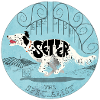 English Setter blue