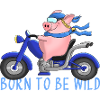 Funny motorcyclist